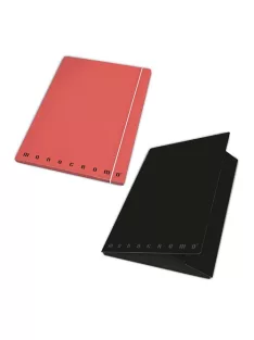 Pigna Gumis mappa karton Pigna Monocromo Plus A/4