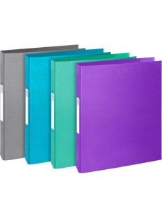   Exacompta Gyűrűs könyv Exacompta Teksto A/4 2 gyűrűs 40 mm gerinccel karton vegyes színek