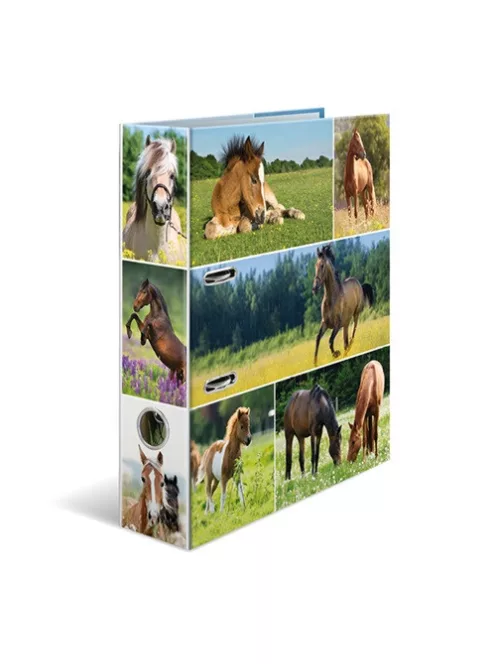 Herma Iratrendező Herma A/4 70 mm gerinccel Lovak