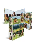 Herma Iratrendező Herma A/4 70 mm gerinccel Lovak