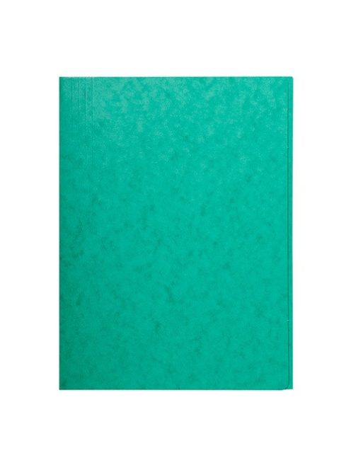 Exacompta Pólyás iratgyűjtő Exacompta A/4 prespán zöld