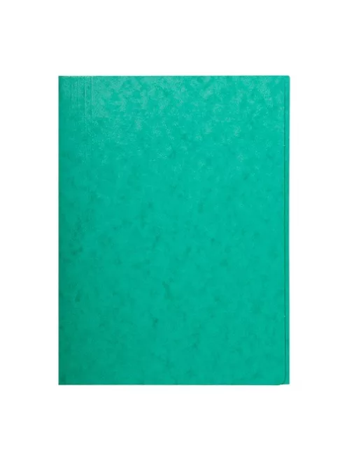Exacompta Pólyás iratgyűjtő Exacompta A/4 prespán zöld