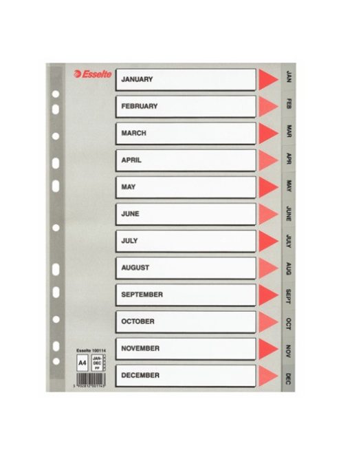 Esselte Regiszter PP Esselte A/4 Jan-Dec-ig szürke 100114