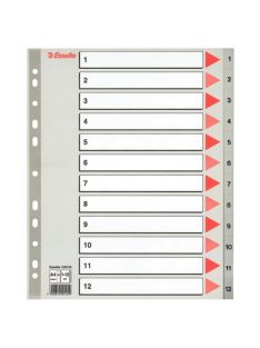 Esselte Regiszter PP Esselte A/4 1-12-ig szürke maxi 100125