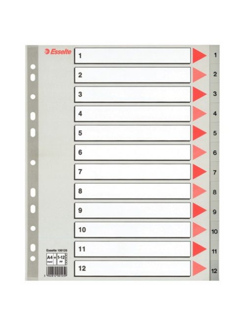 Esselte Regiszter PP Esselte A/4 1-12-ig szürke maxi 100125