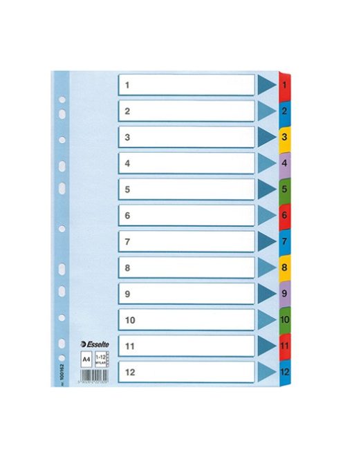 Esselte Regiszter Mylar Esselte A/4 1-12-ig 100162