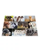 Herma Könyöklő Herma 55x35 cm Kutyák