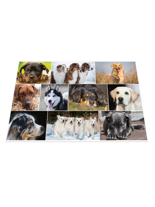 Herma Könyöklő Herma 55x35 cm Kutyák