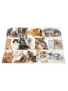 Herma Könyöklő Herma 55x35 cm Macskák