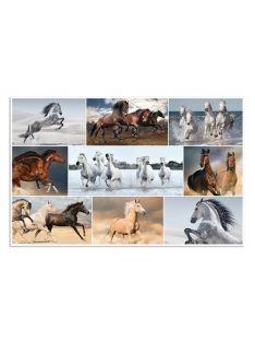 Herma Könyöklő Herma 55x35 cm Lovak
