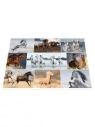 Herma Könyöklő Herma 55x35 cm Lovak