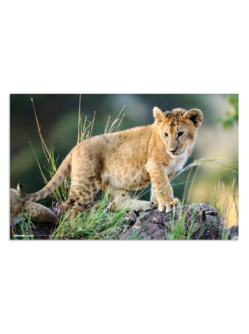 Herma Könyöklő Herma 55x35 cm Afrikai állatok