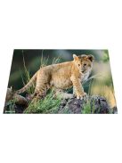 Herma Könyöklő Herma 55x35 cm Afrikai állatok