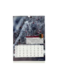   PD Calendar Naptár fali pd BÁLINT GAZDA Teendők a kertben 30x42 cm 2026