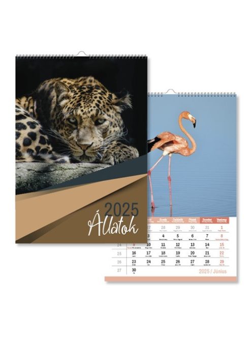 PD Calendar Naptár fali pd Állatok 30x42 cm 2025