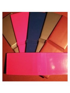 Noname Diákigazolvány tok kemény DP-1164/K