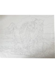   Centrum Kreatív kifestő klt. Centrum számozott, 40x50 cm, Lovak a tengerparton