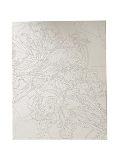   Centrum Kreatív kifestő klt. Centrum számozott, 40x50 cm, Színes madár