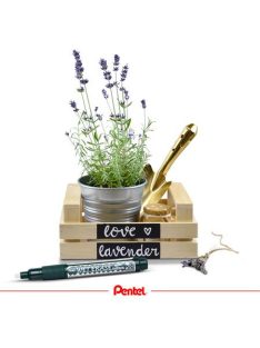   PENTEL Krétamarker, 2-4 mm, megfordítható hegy, PENTEL "SMW26", fehér