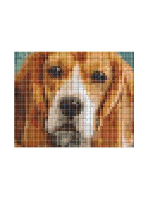 Pixel szett 1 normál alaplappal, színekkel, kutya, basset hound (801301)