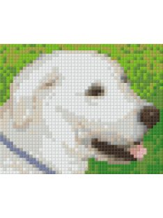   Pixel szett 1 normál alaplappal, színekkel, kutya, labrador (801303)