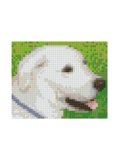 Pixel szett 1 normál alaplappal, színekkel, kutya, labrador (801303)