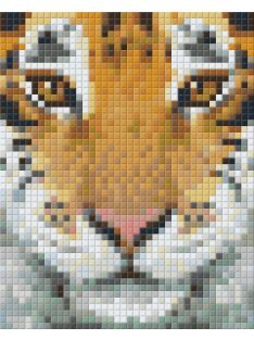   Pixel szett 1 normál alaplappal, színekkel, tigris (801314)