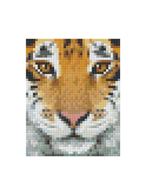 Pixel szett 1 normál alaplappal, színekkel, tigris (801314)