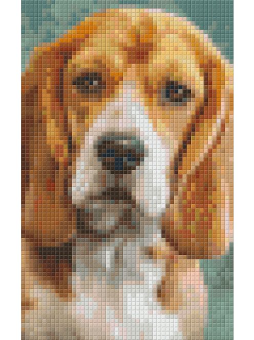 Pixel szett 2 normál alaplappal, színekkel, kutya, basset hound (802092)