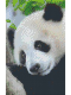 Pixel szett 2 normál alaplappal, színekkel, panda (802100)