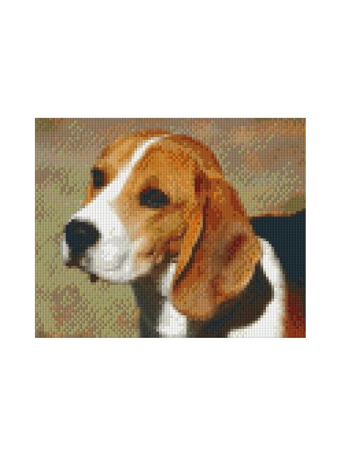 Pixel szett 4 normál alaplappal, színekkel, kutya, beagle (804042)