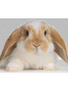   Pixel szett 4 normál alaplappal, színekkel, nyuszi (804143)