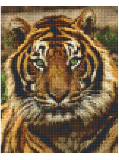 Pixel szett 4 normál alaplappal, színekkel, tigris (804156)