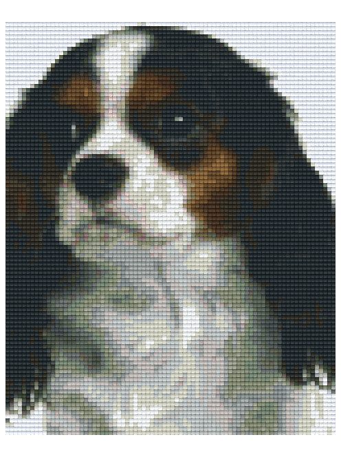 Pixel szett 4 normál alaplappal, színekkel, kutya, beagle (804208)