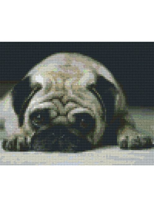 Pixel szett 4 normál alaplappal, színekkel, kutya, bulldog (804224)