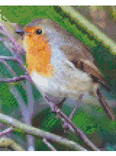  Pixel szett 4 normál alaplappal, színekkel, madár (804432)