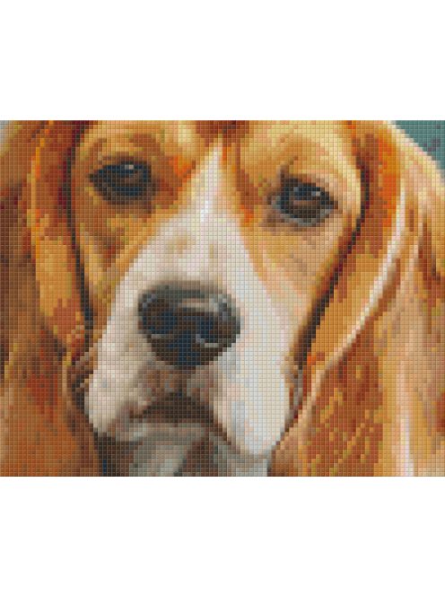 Pixel szett 4 normál alaplappal, színekkel, kutya, basset hound (804445)