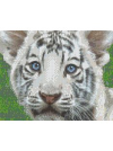   Pixel szett 4 normál alaplappal, színekkel, tigriskölyök (804469)
