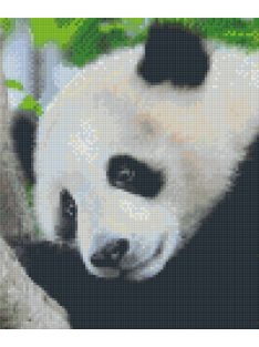 Pixel szett 6 normál alaplappal, színekkel, panda (806150)