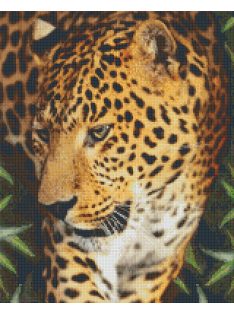   Pixel szett 16 normál alaplappal, színekkel, leopárd (816187)