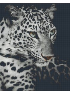   Pixel szett 25 normál alaplappal, színekkel, leopárd (825054)