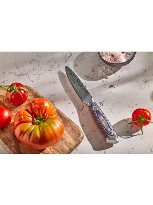 RESTO Hámozókés, 10 cm, RESTO "Ogma 95344"