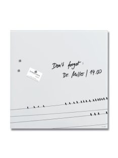   SIGEL Mágneses üvegtábla, 48x48x1,5 cm, SIGEL "Artverum® ", Little birds mintázat, matt