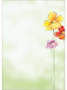 SIGEL Előnyomott papír, A4, 90g, SIGEL "Spring Flowers"