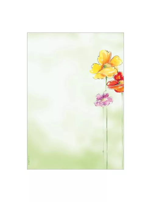 SIGEL Előnyomott papír, A4, 90g, SIGEL "Spring Flowers"