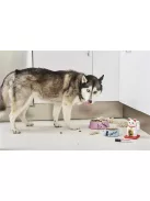 EDDING Alkoholos marker, 2-7 mm, vágott, EDDING "500", fekete