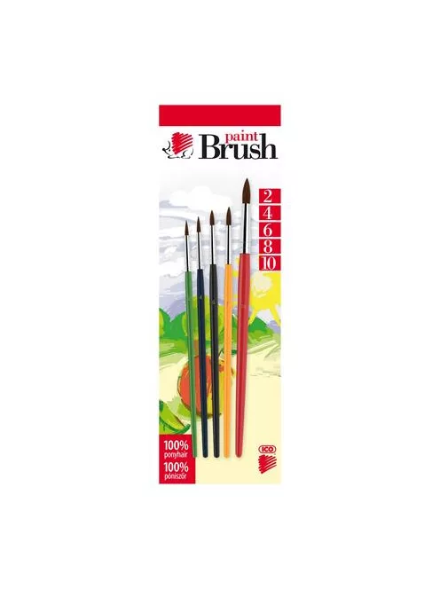 ICO Ecsetkészlet, no. 2-4-6-8-10, fa, ICO "Süni", vegyes színek