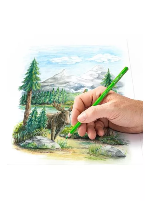 STAEDTLER Színes ceruza készlet, hatszögletű, STAEDTLER "146C", 12 különböző szín