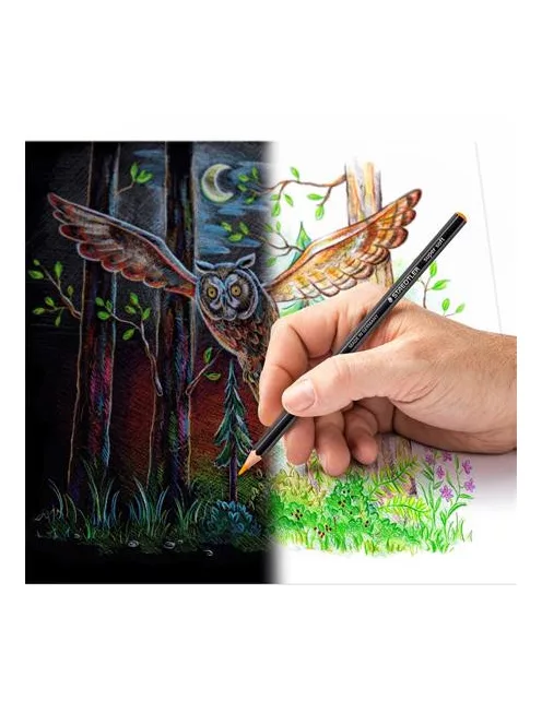 STAEDTLER Színes ceruza készlet, hatszögletű, STAEDTLER "149 C, 12 különböző szín
