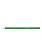 STAEDTLER Színes ceruza készlet, hatszögletű, STAEDTLER "Noris Colour 185", 20+4 különböző szín
